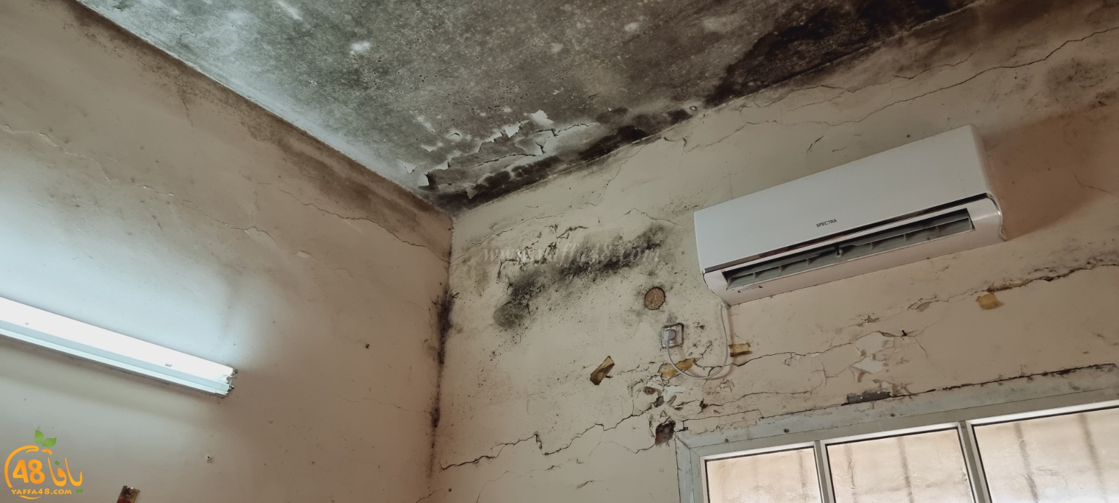 WhatsApp Image 2021-04-21 at 5.17.17 PM.jpg